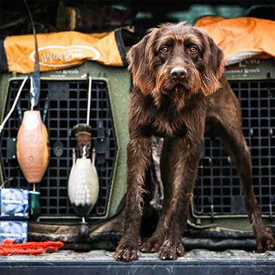 Utah Hunt Planner
